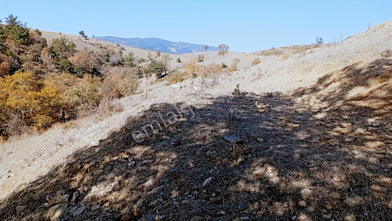 Akdam Mahallesi Çökelikciyeri Mevkii Satılık Tarla - Görsel 4