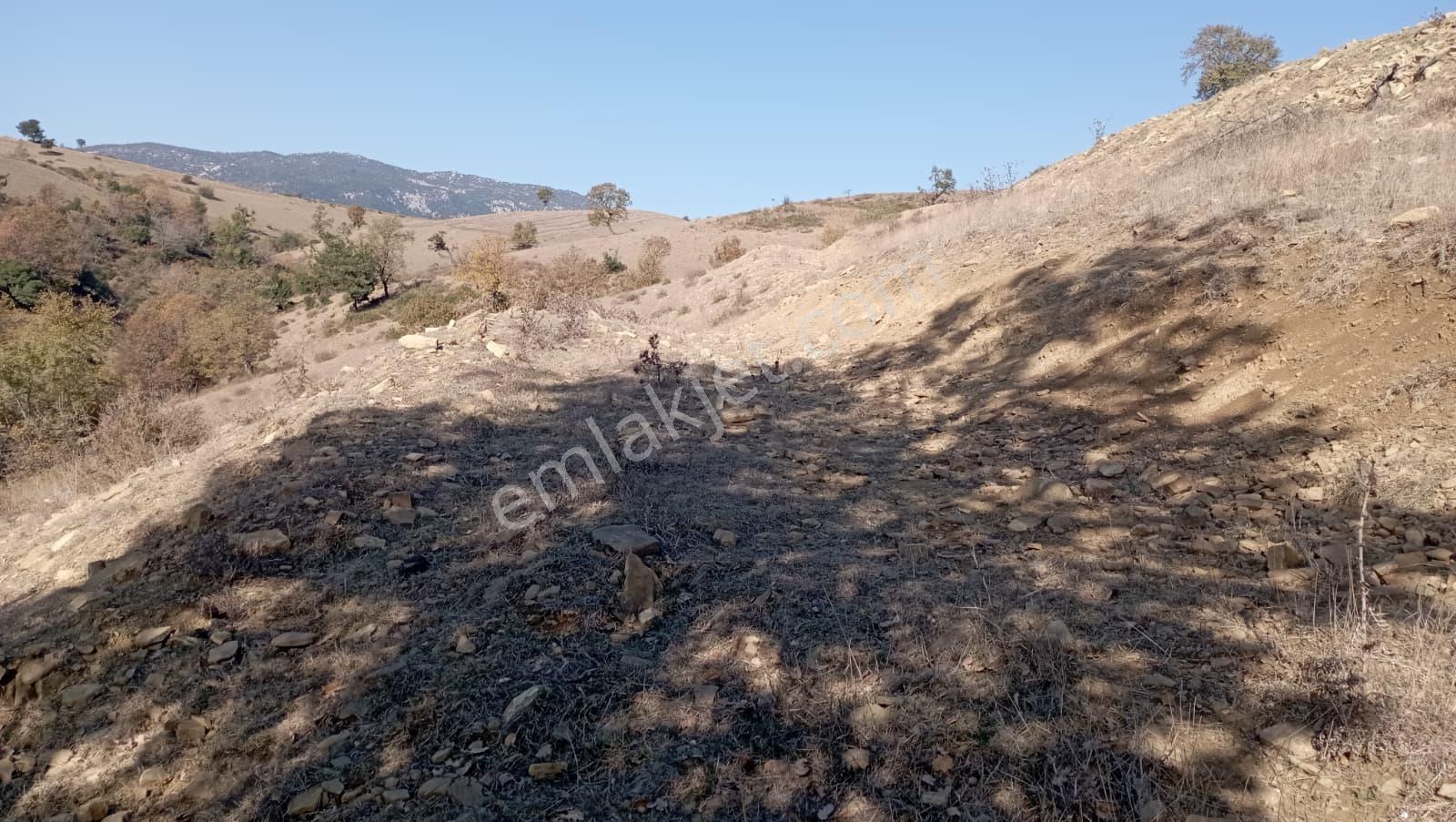 Akdam Mahallesi Çökelikciyeri Mevkii Satılık Tarla - Görsel 3