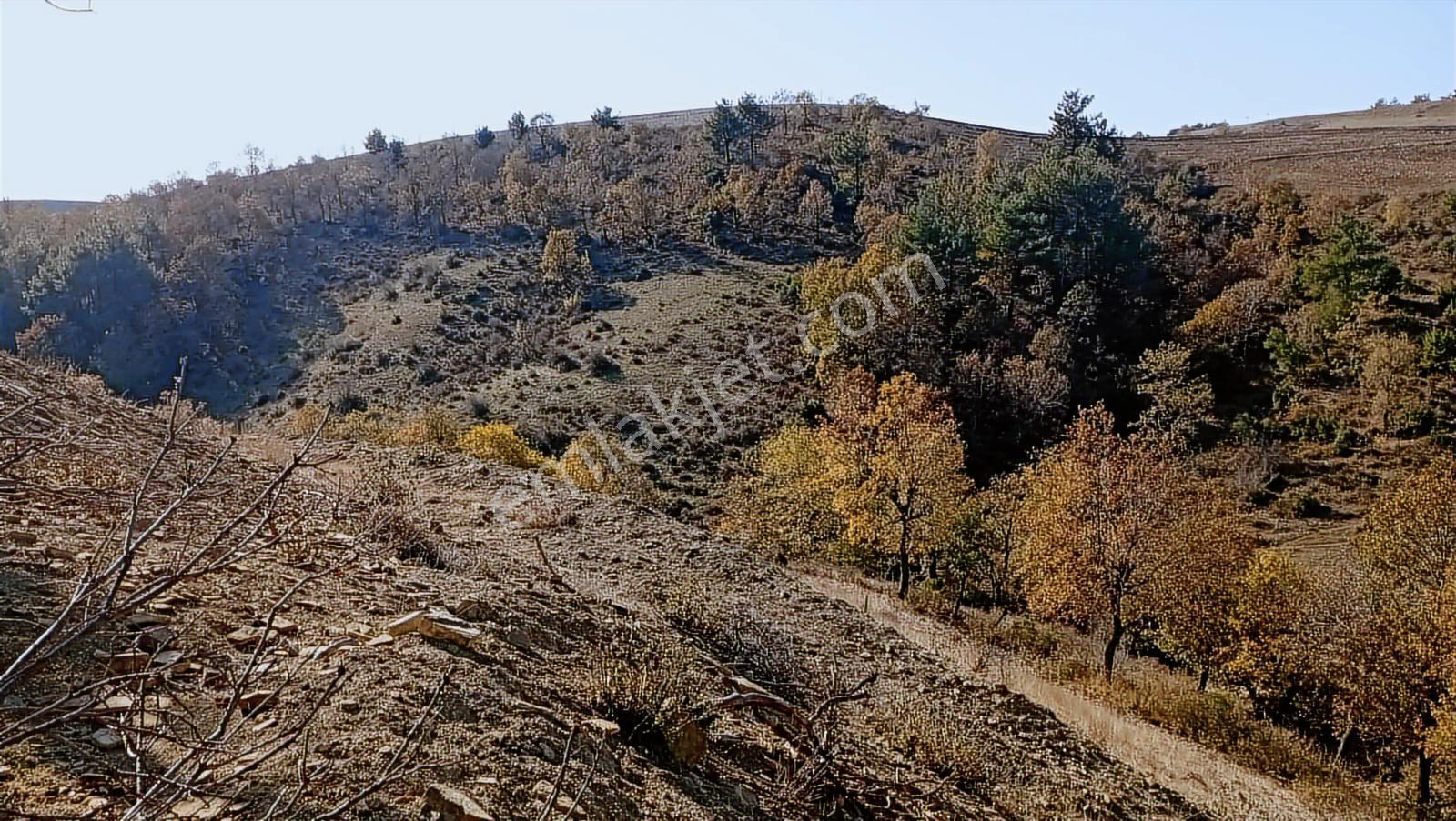 Akdam Mahallesi Çökelikciyeri Mevkii Satılık Tarla - Görsel 2