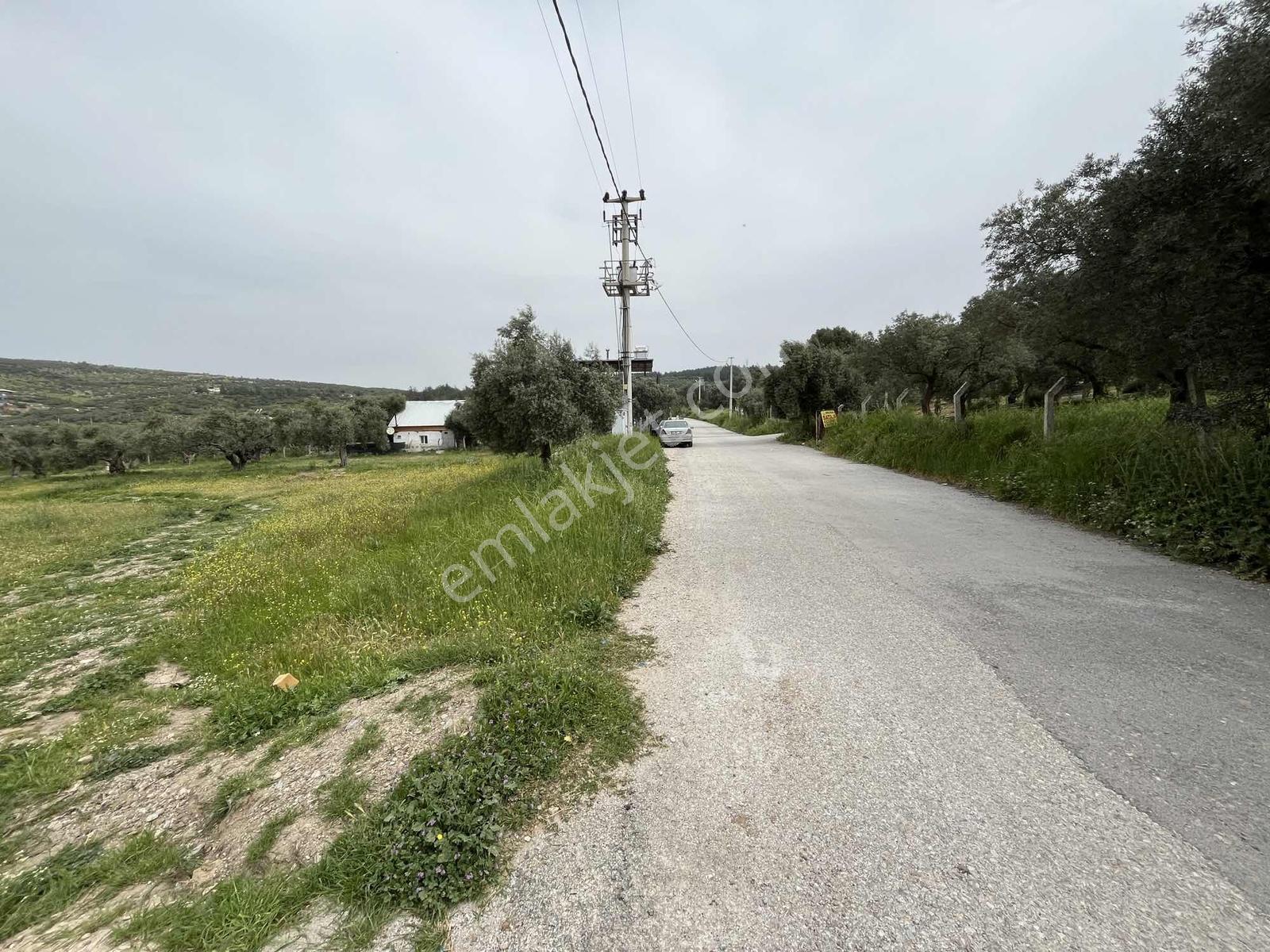 Çapak'ta Aydın Asfaltına Yakın Resmi Yolu Olan Kupon Tarla - Görsel 14