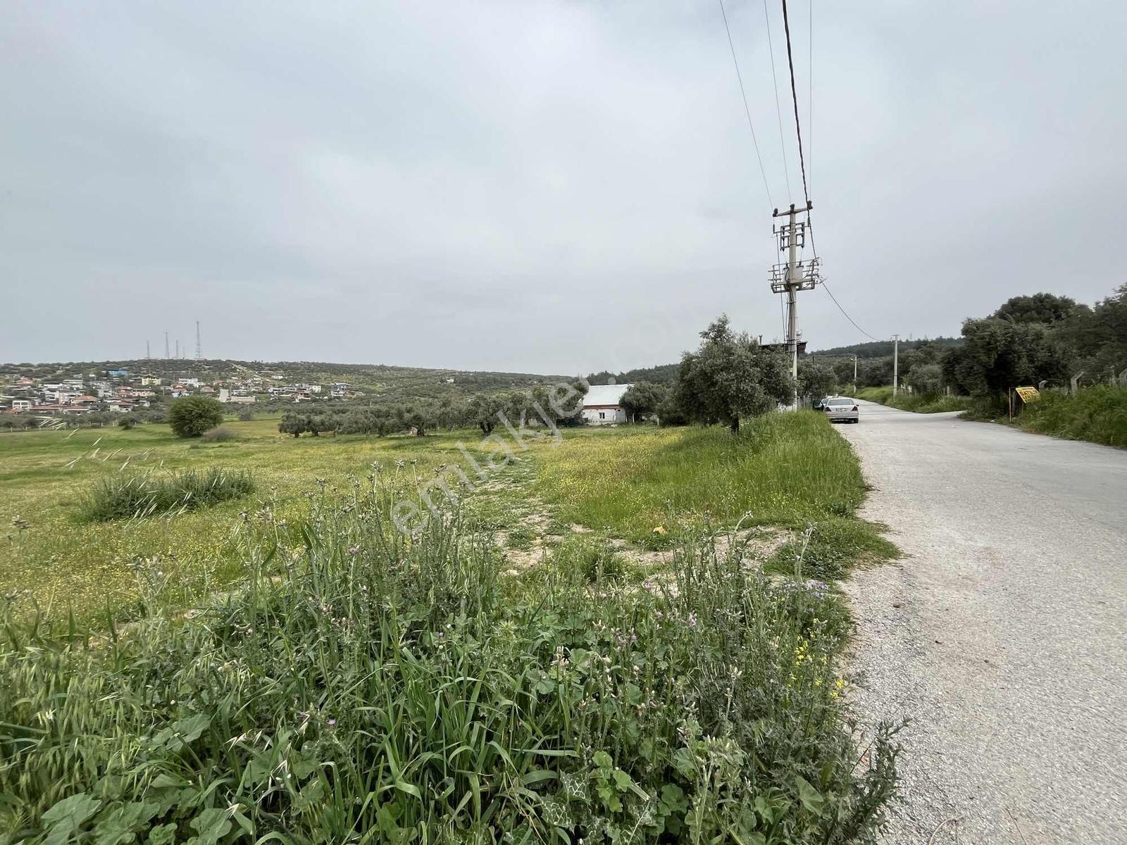 Çapak'ta Aydın Asfaltına Yakın Resmi Yolu Olan Kupon Tarla - Görsel 17