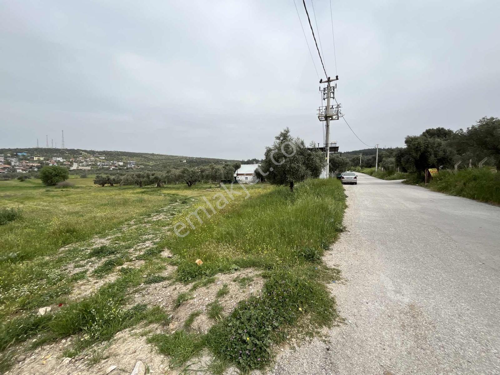 Çapak'ta Aydın Asfaltına Yakın Resmi Yolu Olan Kupon Tarla - Görsel 13
