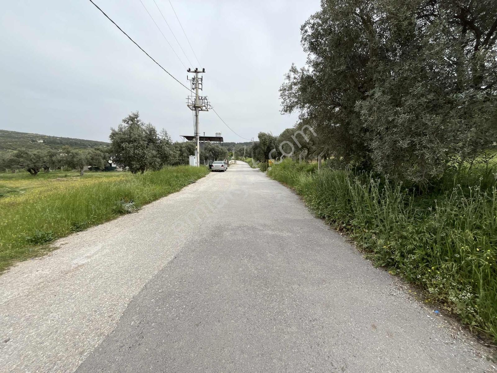 Çapak'ta Aydın Asfaltına Yakın Resmi Yolu Olan Kupon Tarla - Görsel 18