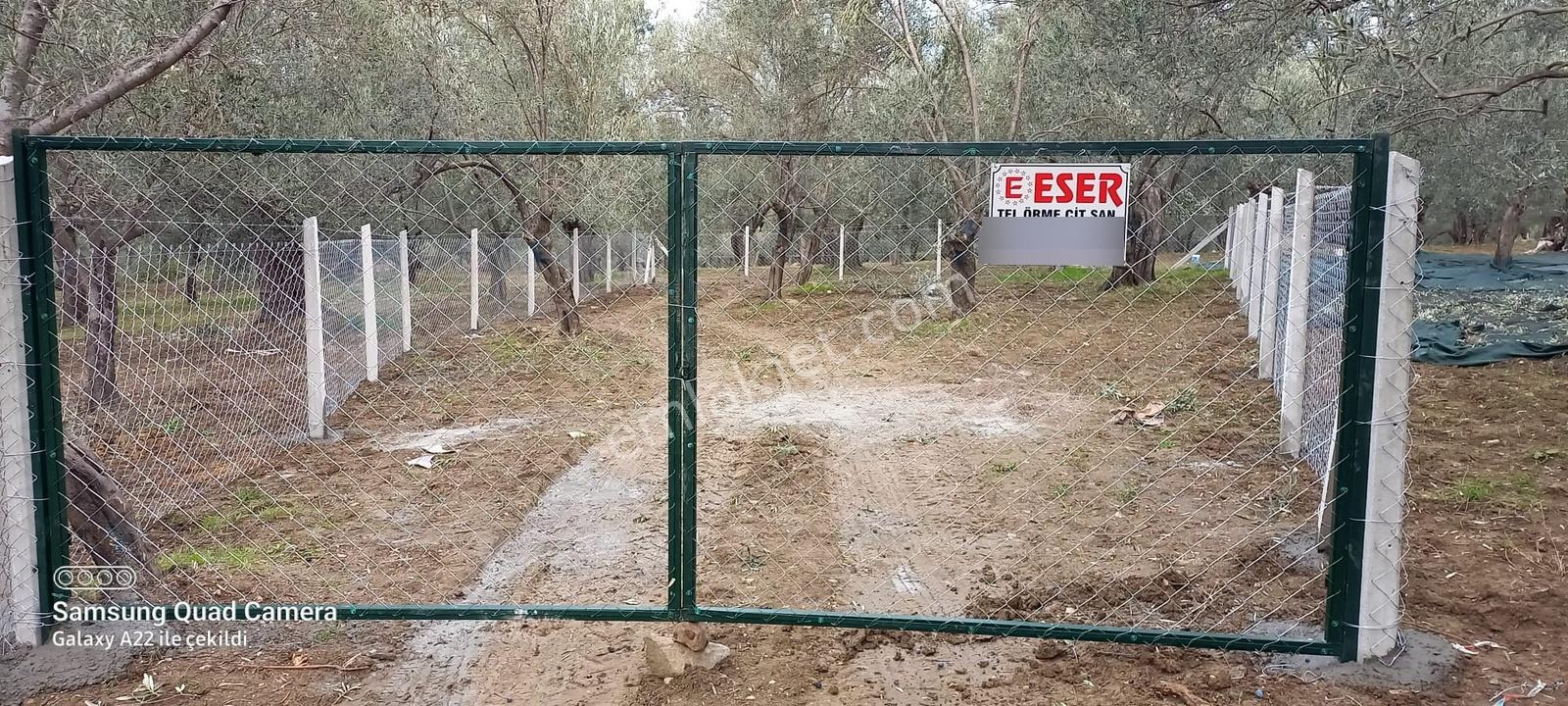 Kavuşturan Emlak'tan Havran Fora Zeytinci Mevkii Satılık Zeytinl - Görsel 35