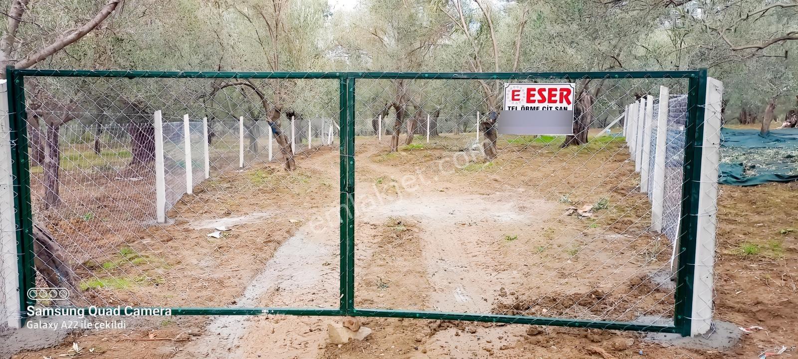 Kavuşturan Emlak'tan Havran Fora Zeytinci Mevkii Satılık Zeytinl - Görsel 6
