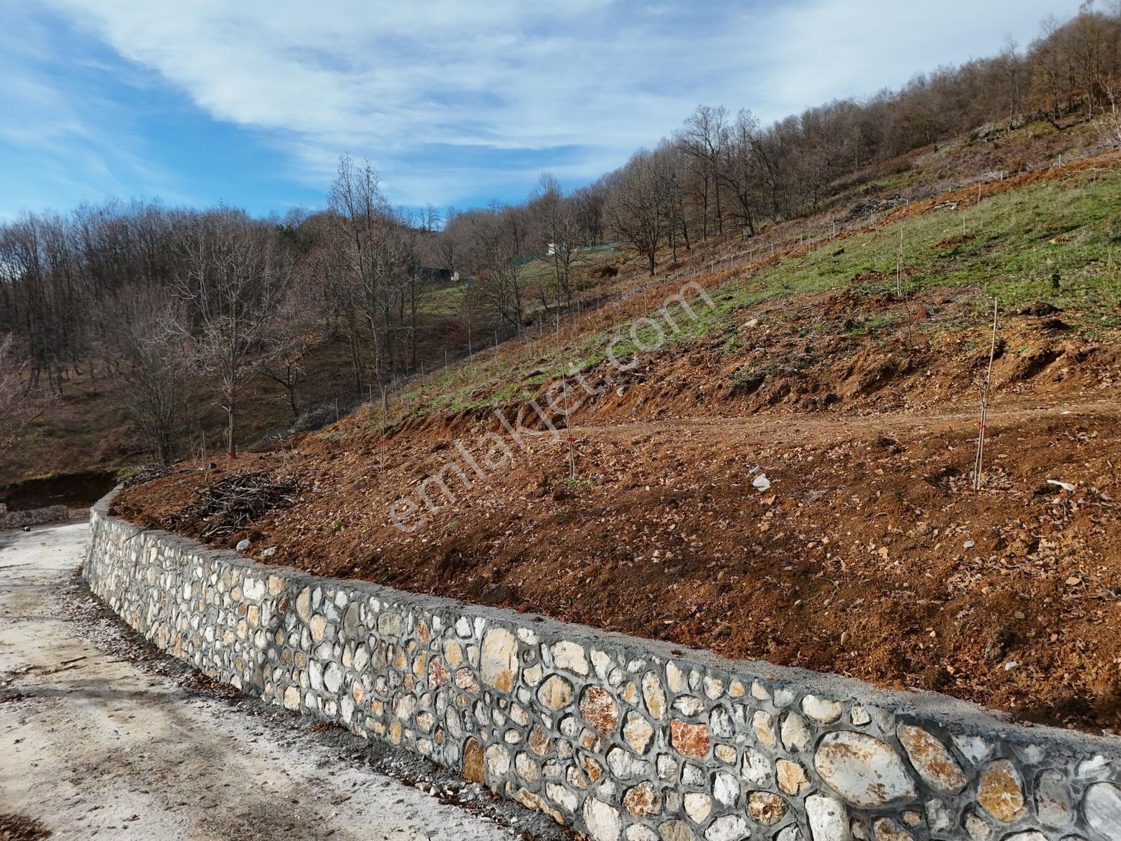Turyap Soner'den Satılık, 5105 M² İmar Sınırında Manzaralı Bahçe - Görsel 15