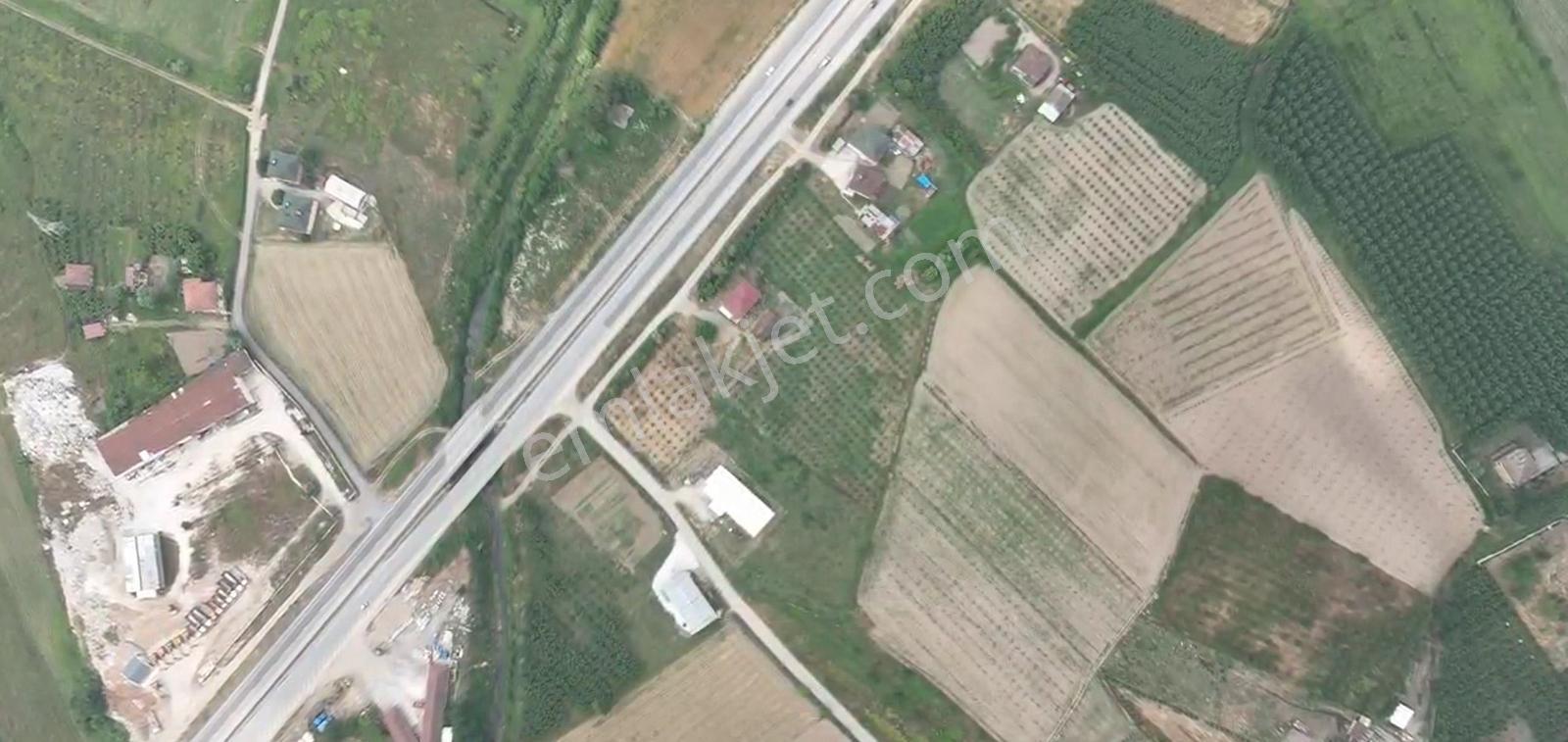 Sakarya Hendek 2. Osb Önü D100e Cepheli Arsalar - Görsel 10