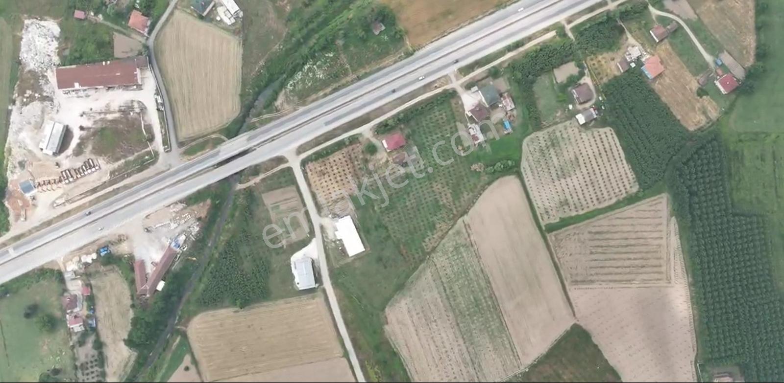 Sakarya Hendek 2. Osb Önü D100e Cepheli Arsalar - Görsel 14