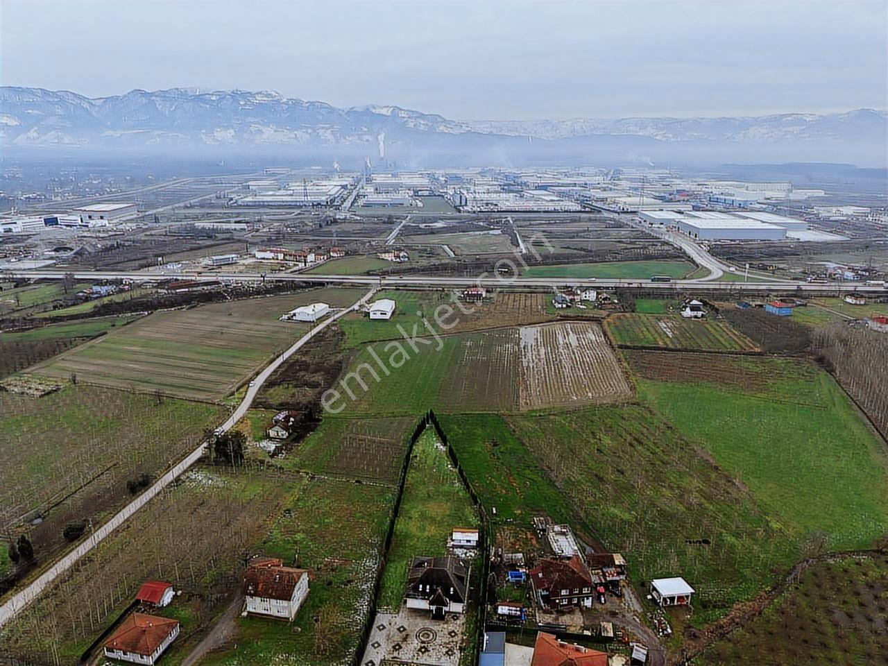 Sakarya Hendek 2. Osb Önü D100e Cepheli Arsalar - Görsel 19