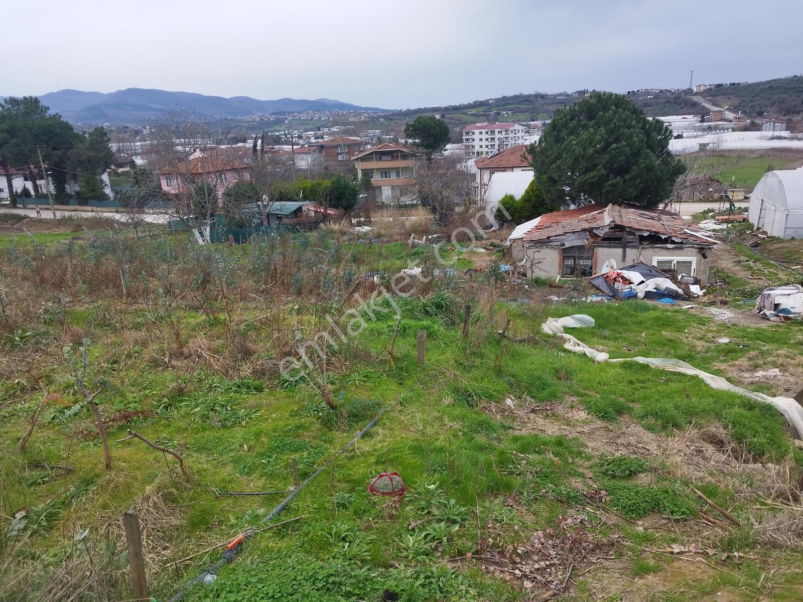 Akköy'de Acil Satılık Fırsat Arsa