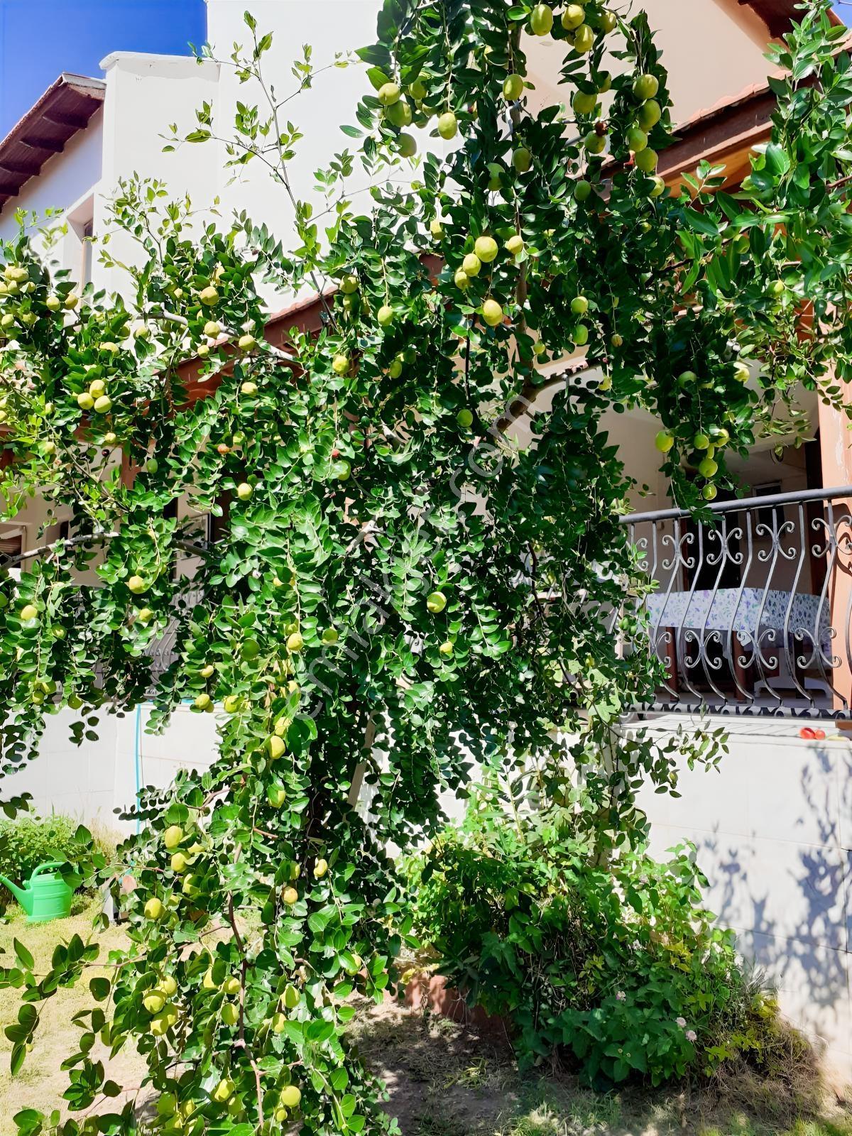Çeşme Şifne'de Ful Eşyalı Kiralık Villa - Görsel 26