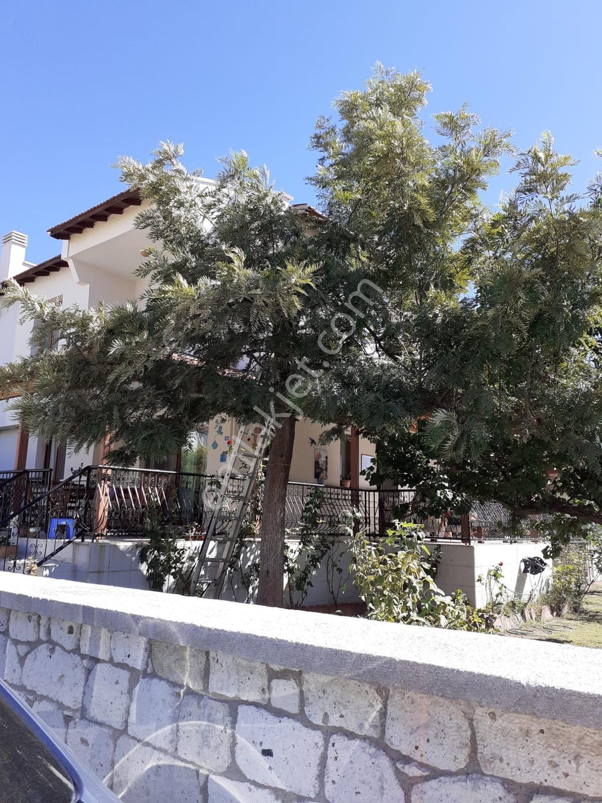 Çeşme Şifne'de Ful Eşyalı Kiralık Villa - Görsel 25