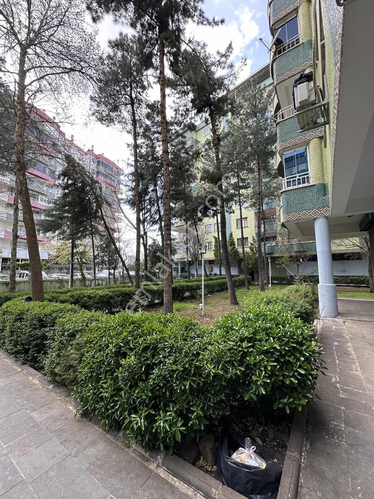 Forum Avm Arkası Kelepir Saray Yavrusu 3+1 !!!!! - Görsel 20