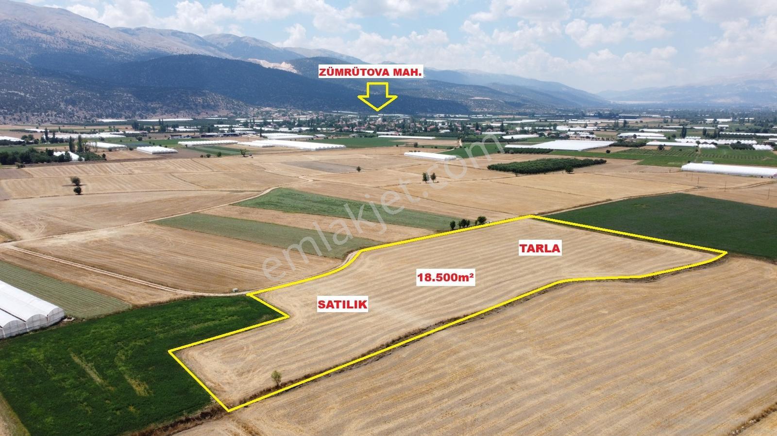 Vip Gayrimenkul'den Zümrütova Mah. 18.500m² Tarla - Görsel 16