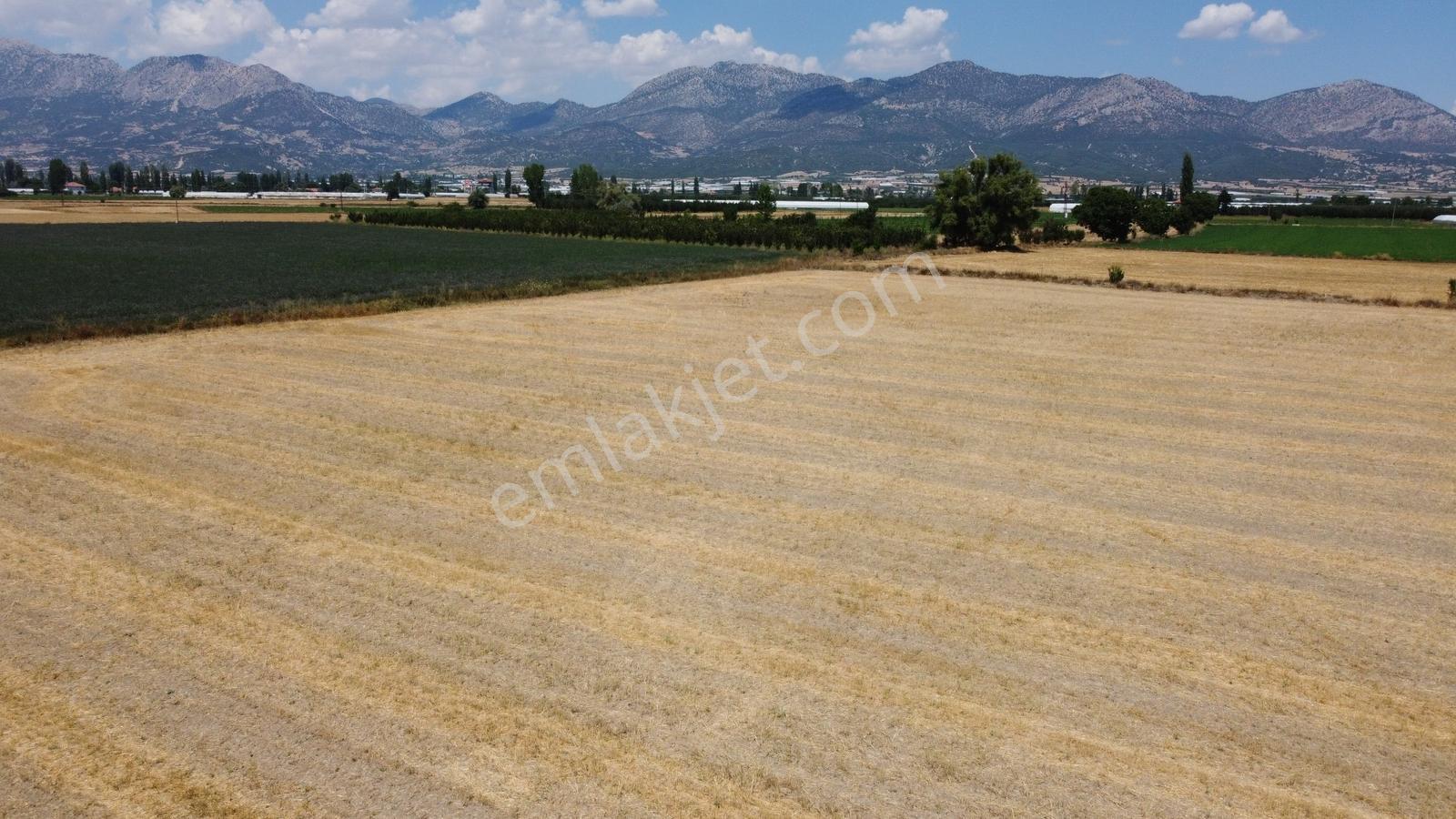Vip Gayrimenkul'den Zümrütova Mah. 18.500m² Tarla - Görsel 9