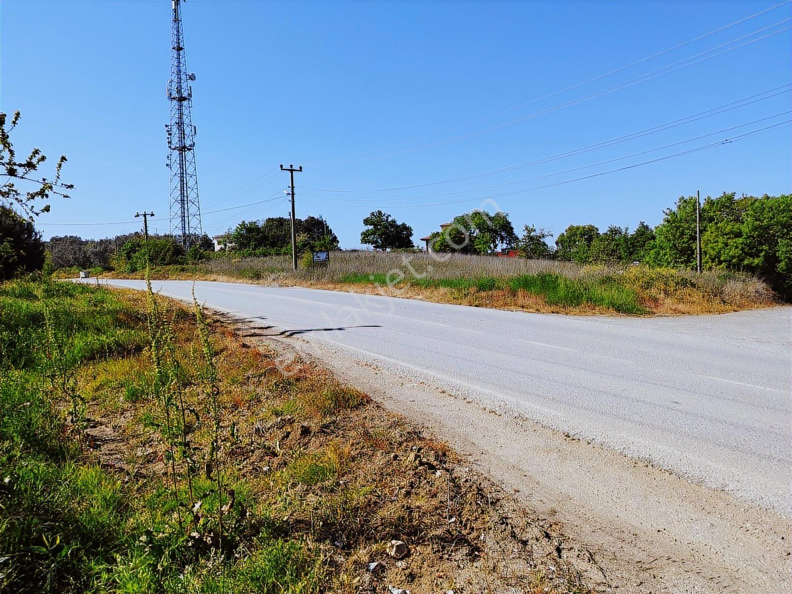 Turyap'tan;çınarcık Koru'da, Deniz Manzaralı Ana Yola Cephe Arsa - Görsel 5