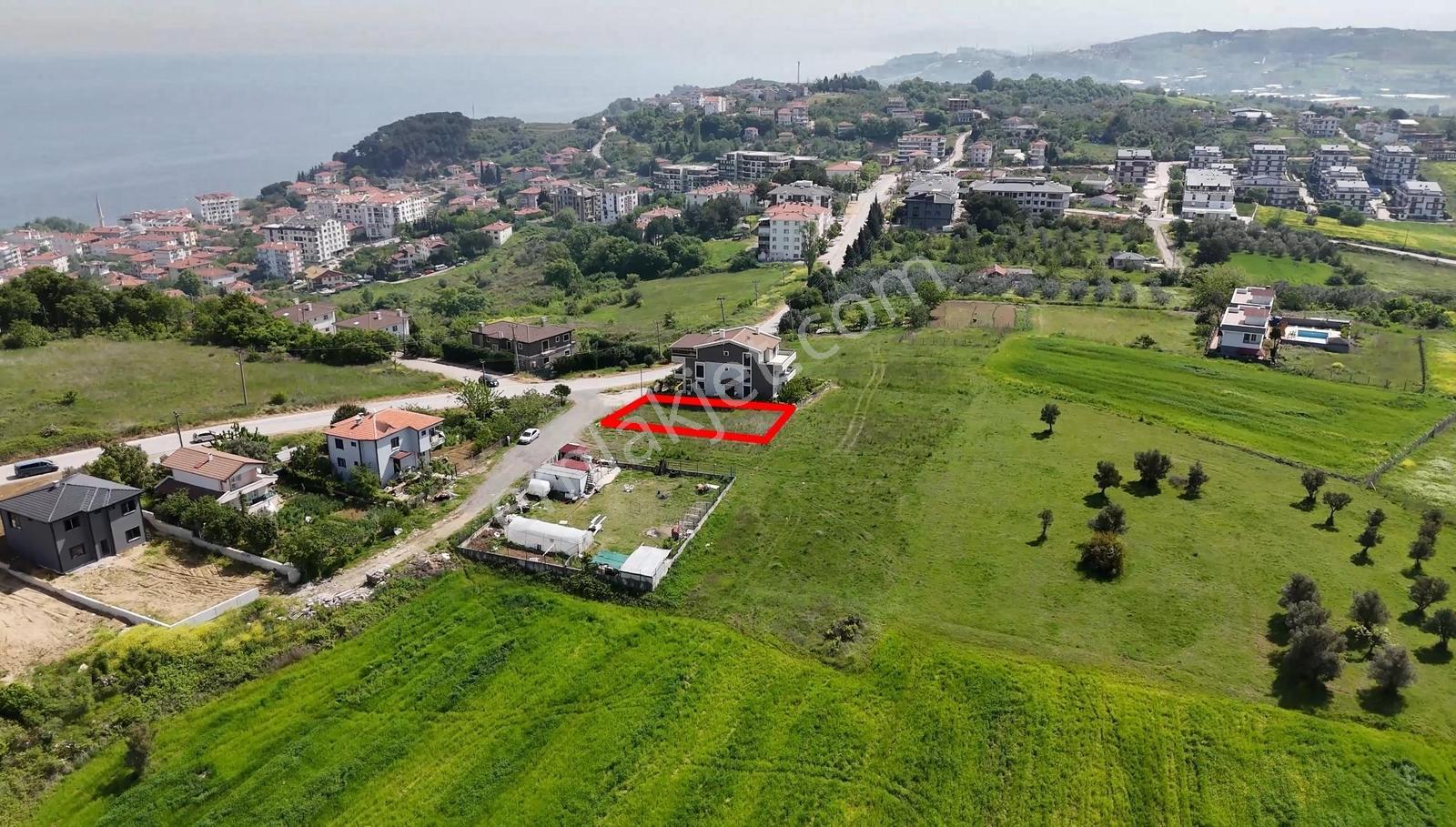Turyap'tan;çınarcık Koru'da, Deniz Manzaralı Ana Yola Cephe Arsa