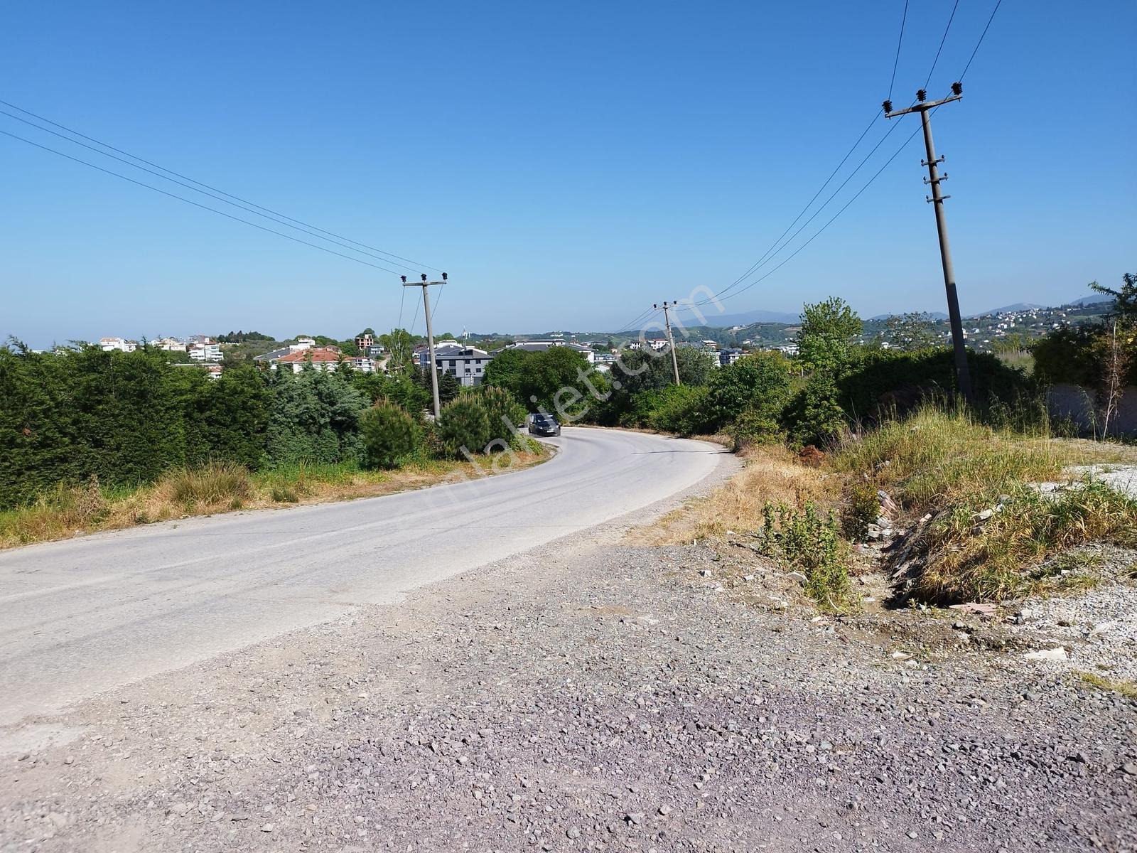 Turyap'tan;çınarcık Koru'da, Deniz Manzaralı Ana Yola Cephe Arsa - Görsel 16