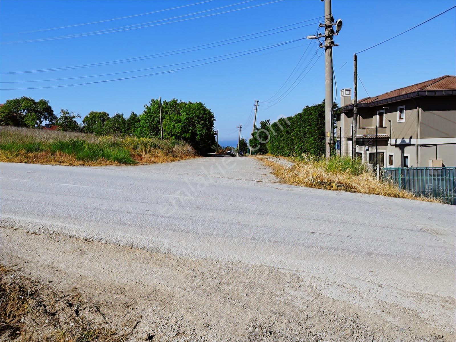 Turyap'tan;çınarcık Koru'da, Deniz Manzaralı Ana Yola Cephe Arsa - Görsel 2