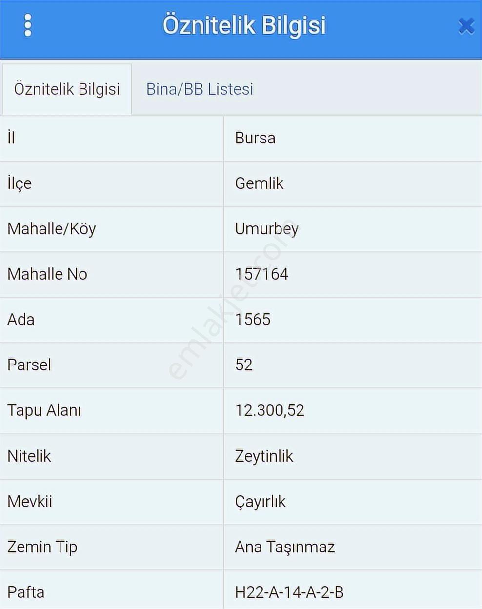 Turyap'tan;gemlik Umurbeyde,bakımlı,kadastro Yolu Olan Zeytinlik - Görsel 10