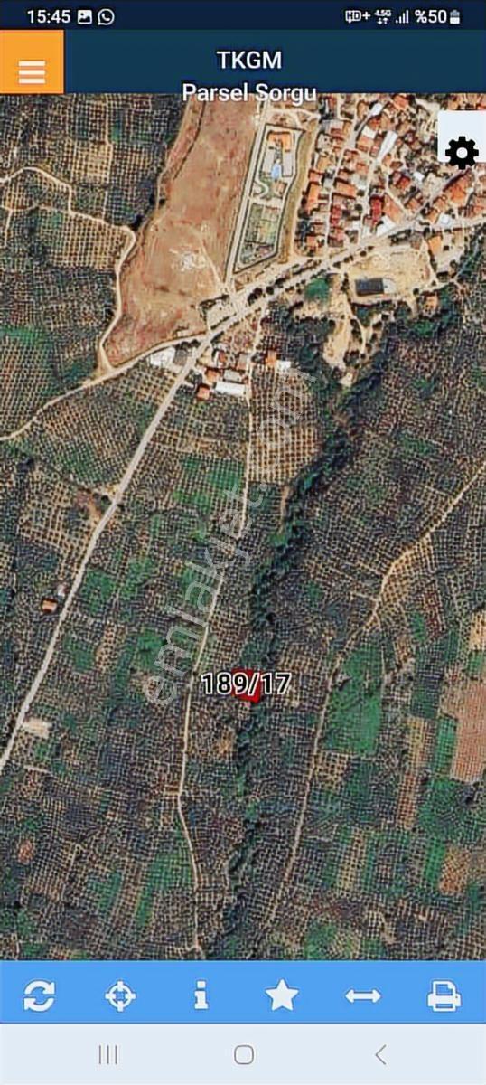 Turyap Mehmet Çevik Ten Orhangazi Çakırlı 1300m2 Zeytinlik - Görsel 2