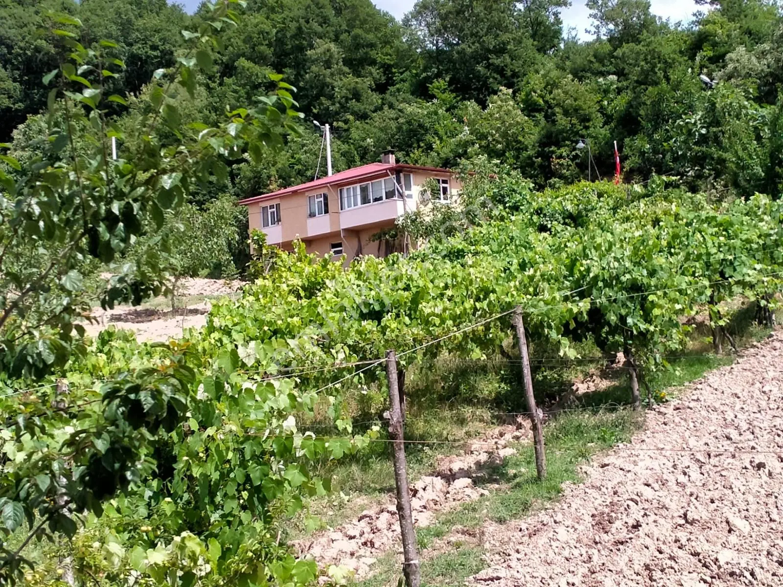 Turyap, Tülay'dan.karamürsel/akpınar Köyünde Hazır Mini Çiftlik. - Görsel 5