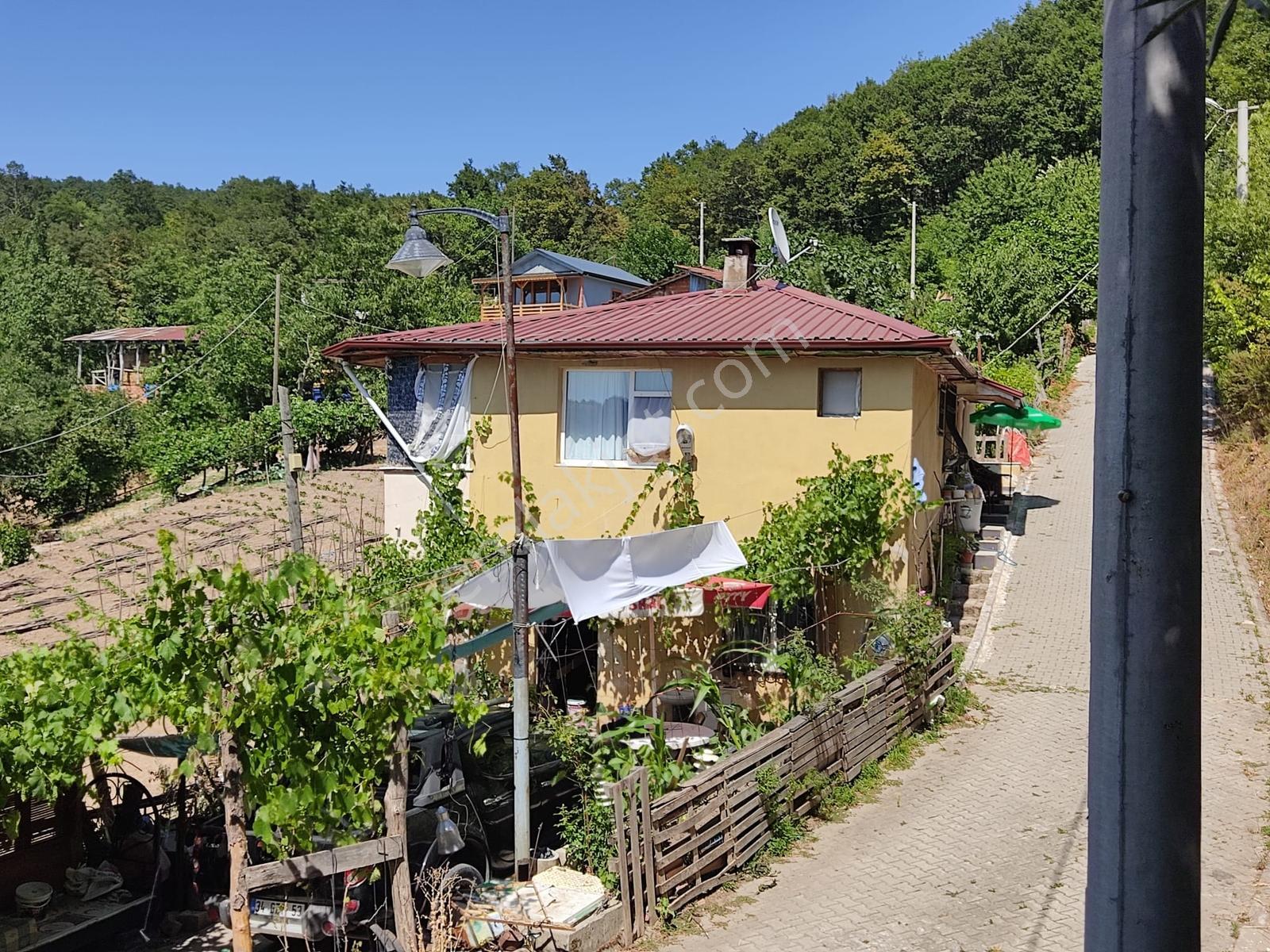 Turyap, Tülay'dan.karamürsel/akpınar Köyünde Hazır Mini Çiftlik.