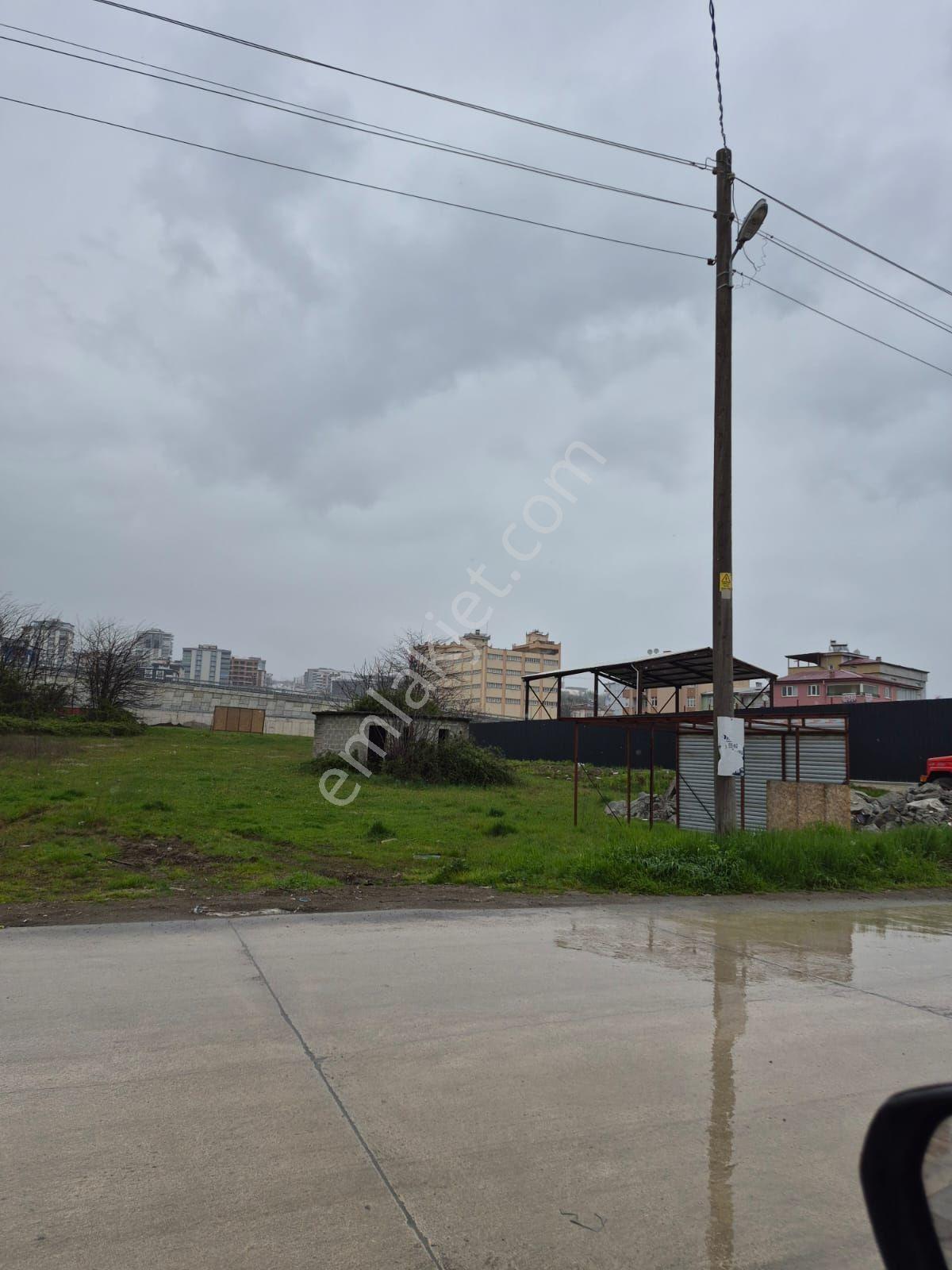 Amazon'dan Ankara-ordu-sinop Kavşağında 1555 M2, O,60 Taks Satılık Ticari Arsa - Görsel 7