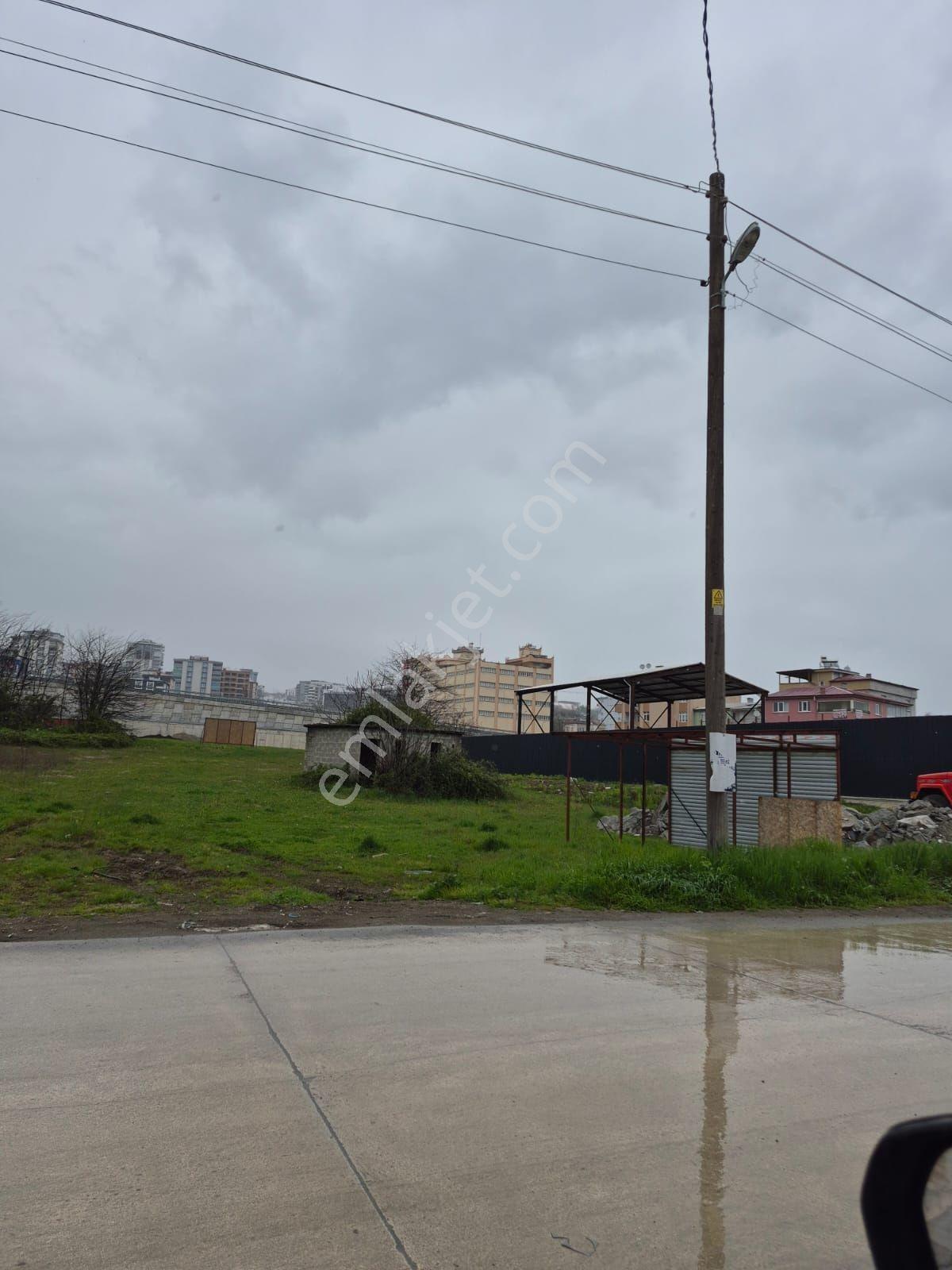 Amazon'dan Ankara-ordu-sinop Kavşağında 1555 M2, O,60 Taks Satılık Ticari Arsa - Görsel 4