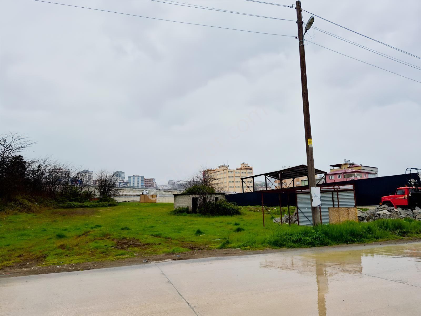 Amazon'dan Ankara-ordu-sinop Kavşağında 1555 M2, O,60 Taks Satılık Ticari Arsa - Görsel 5