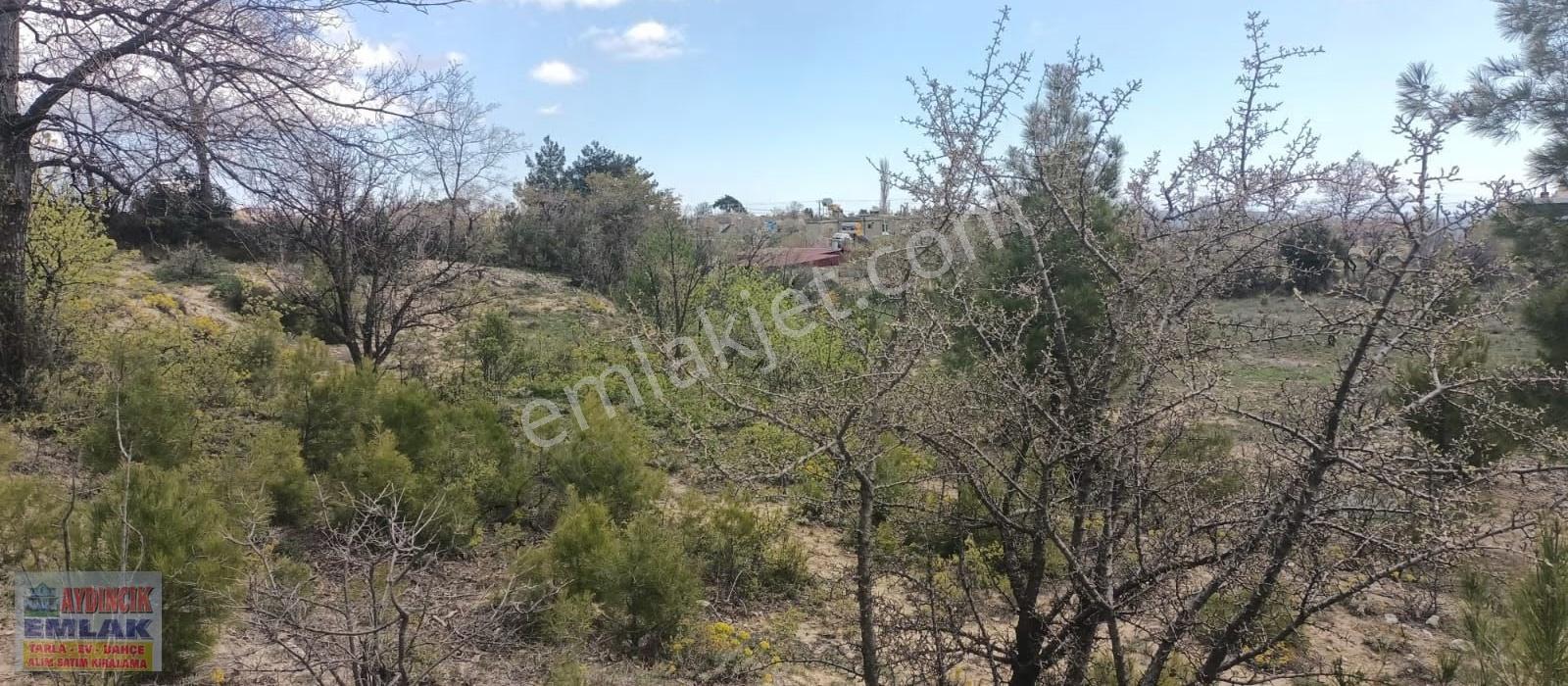 Aydıncık Emlaktan Satılık Arsa - Görsel 12