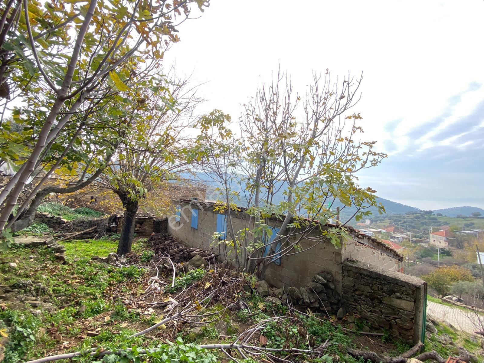 Aydın Çine Bağlarbaşı Mahallesinde Satılık Müstakil Taş Ev - Görsel 8