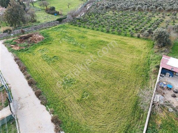 Menderes Turyap'tan Dereköy'de 4000m² Kiralık Tarla - Görsel 15