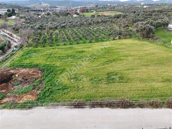 Menderes Turyap'tan Dereköy'de 4000m² Kiralık Tarla - Görsel 11