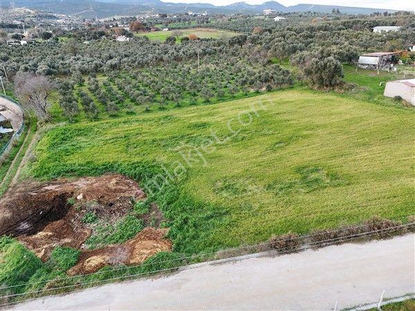 Menderes Turyap'tan Dereköy'de 4000m² Kiralık Tarla - Görsel 13