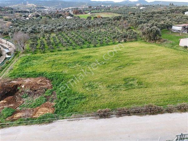 Menderes Turyap'tan Dereköy'de 4000m² Kiralık Tarla - Görsel 18