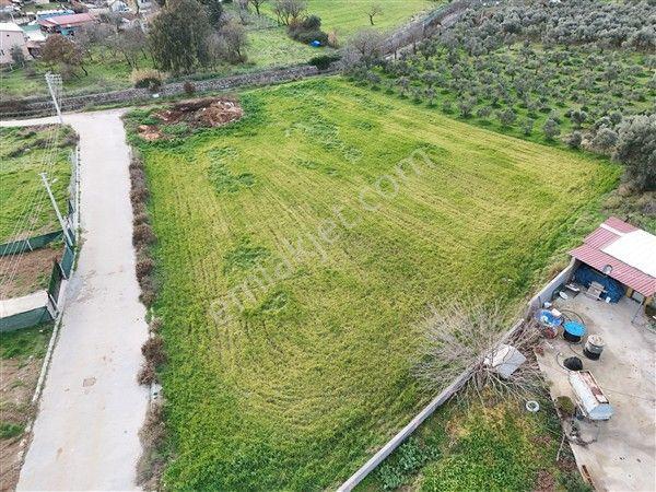 Menderes Turyap'tan Dereköy'de 4000m² Kiralık Tarla - Görsel 16