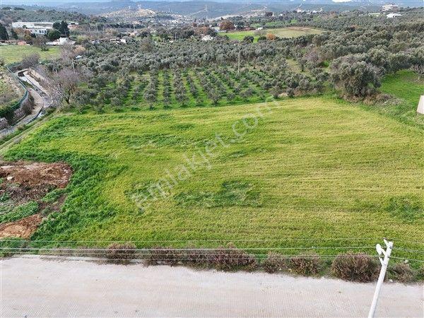 Menderes Turyap'tan Dereköy'de 4000m² Kiralık Tarla - Görsel 10