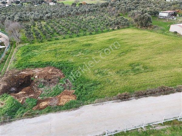 Menderes Turyap'tan Dereköy'de 4000m² Kiralık Tarla - Görsel 14