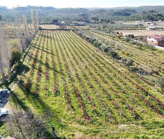 Menderes Turyap'tan Dereköy'de Satılık Tek Tapu 6847m² Bağ - Görsel 5