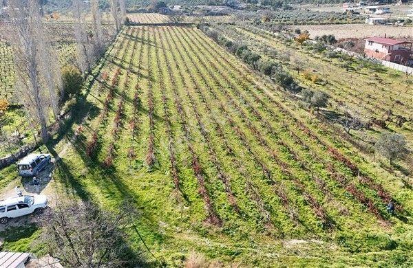 Menderes Turyap'tan Dereköy'de Satılık Tek Tapu 6847m² Bağ - Görsel 7