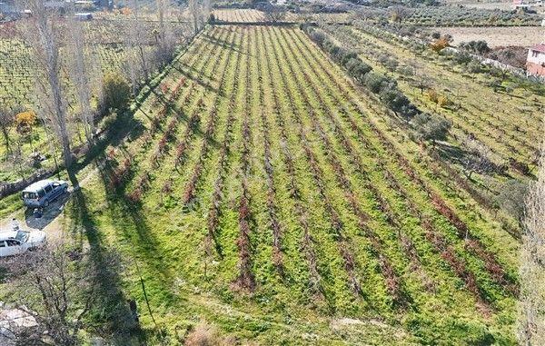Menderes Turyap'tan Dereköy'de Satılık Tek Tapu 6847m² Bağ - Görsel 6