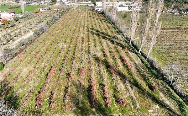 Menderes Turyap'tan Dereköy'de Satılık Tek Tapu 6847m² Bağ - Görsel 8