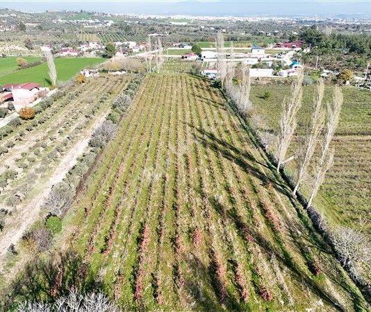 Menderes Turyap'tan Dereköy'de Satılık Tek Tapu 6847m² Bağ - Görsel 3