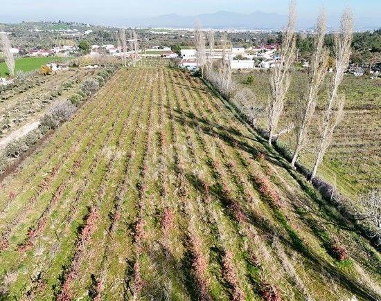 Menderes Turyap'tan Dereköy'de Satılık Tek Tapu 6847m² Bağ