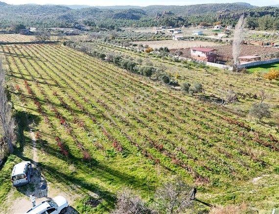 Menderes Turyap'tan Dereköy'de Satılık Tek Tapu 6847m² Bağ - Görsel 4