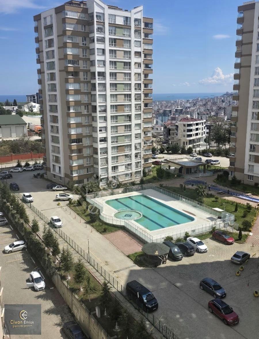 Şehrin İçinde Doğa İle Basbasa - Görsel 14