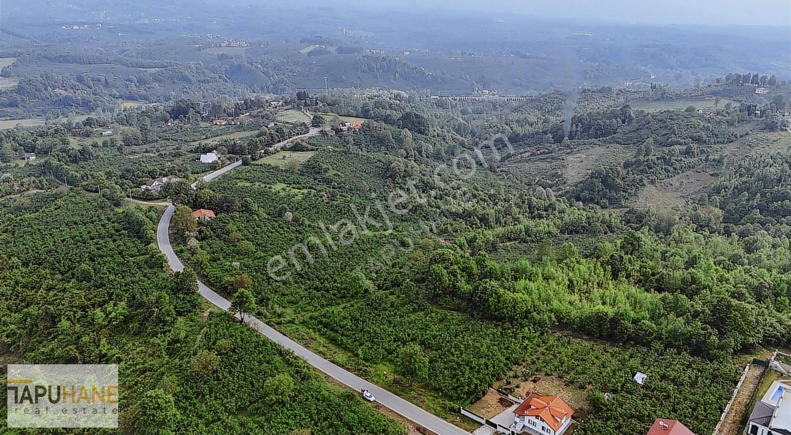Tapuhaneden Asfalt Yola Cephe 1500 M2 Villa İmarlı Arsa