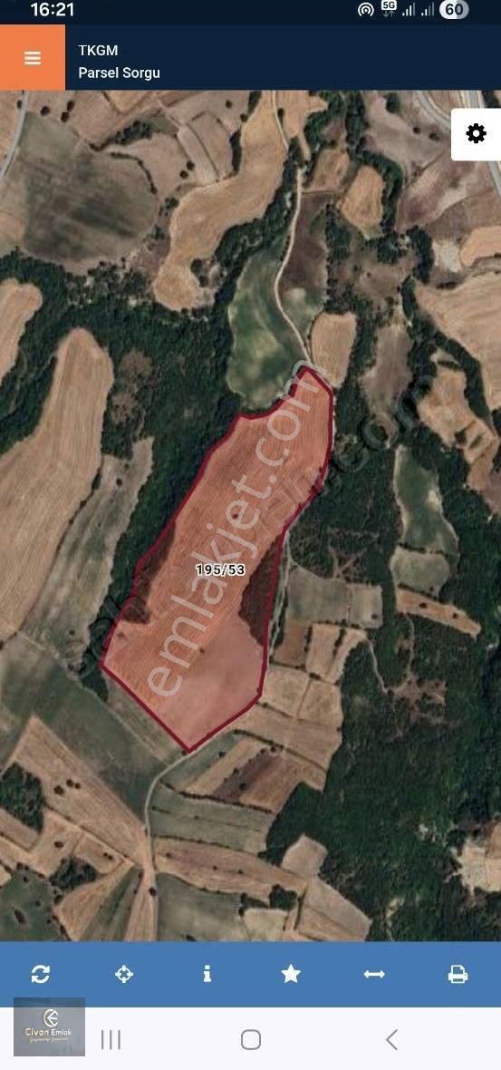 Civan Emlaktan Havza Sivrikise' Satılık 80500 M2 Tarla