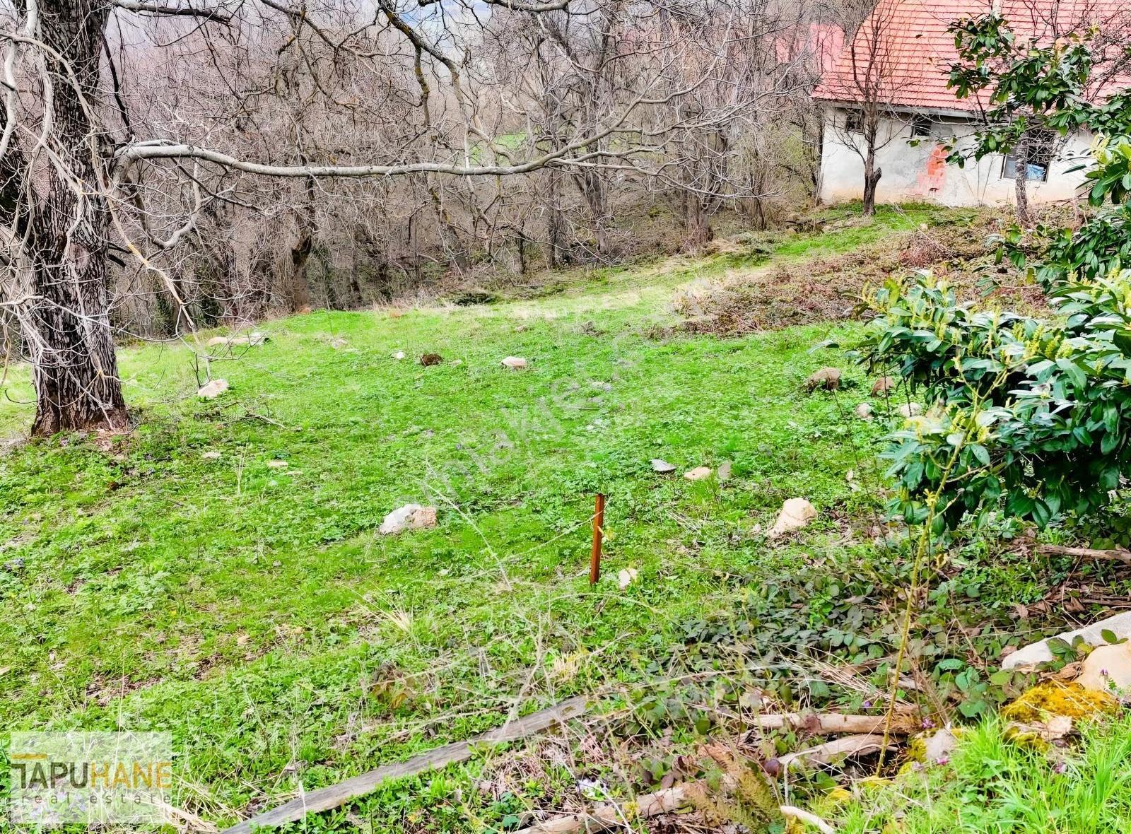 Tapuhane'den Hendek Aksu Mah. İmarlı 1000 M2 Satılık Arsamız - Görsel 7